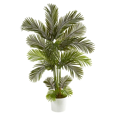 5.5ft. Areca Palm Tree in White Tin Planter