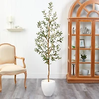 6ft. Olive Artificial Tree in White Planter