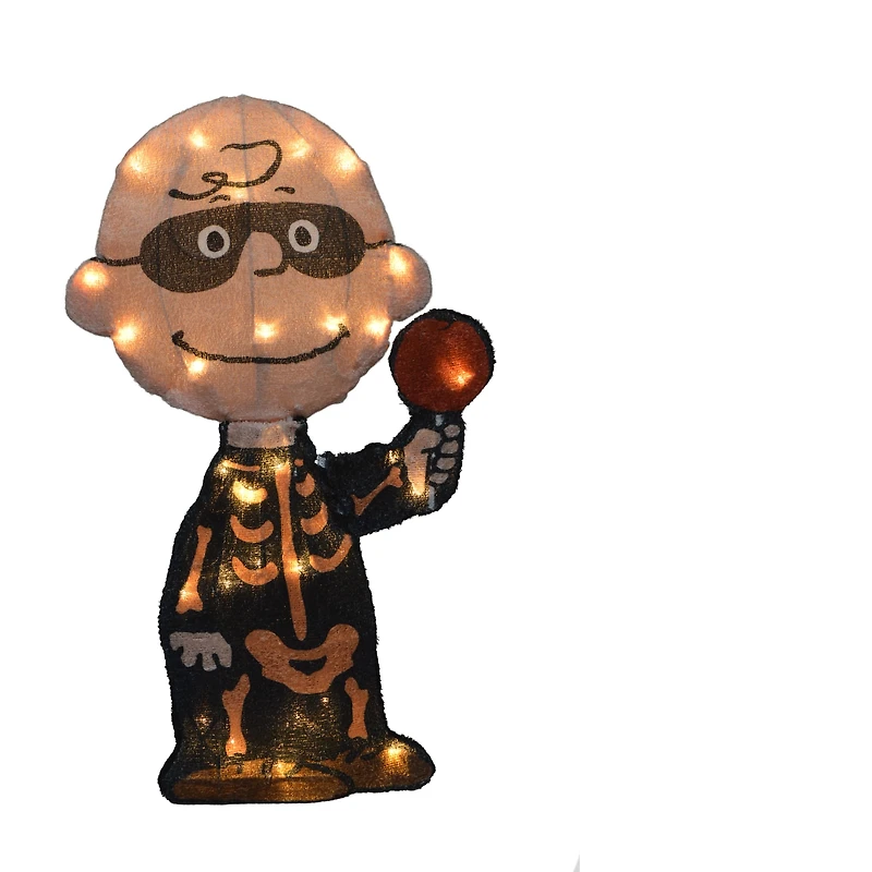 18" LED Peanuts Charlie Brown Bones Yard Art