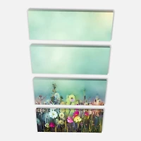 Designart - Dandelion Poppy and Daisy Flowers