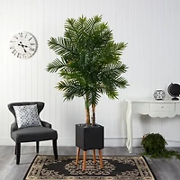 70" Areca Palm Tree in Black Planter with Stand
