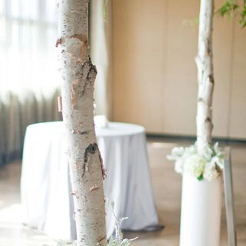 Wilson® Enterprises White Birch Poles