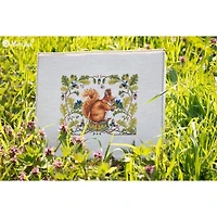 Merejka Squirrel Counted Cross Stitch Kit