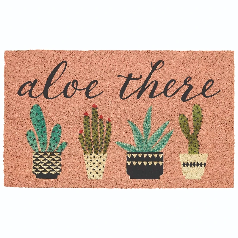 DII® Aloe There Doormat