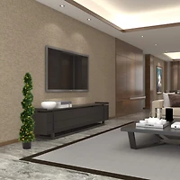 5ft. Pre-Lit Potted Cedar Spiral Topiary Tree