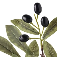 12 Pack: Olive Branch Spray by Ashland®