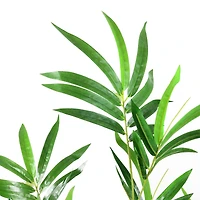 4ft. Two-Tone Green Potted Bamboo Plant