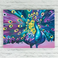 ArtSkills® Premium Peacock Paint-by-Number Kit