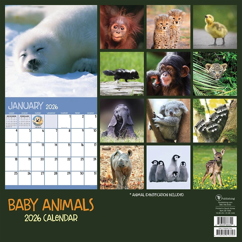 2026 Baby Animals Wall Calendar