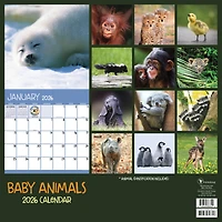 2026 Baby Animals Wall Calendar