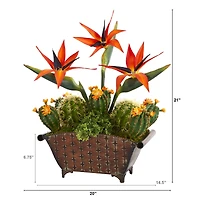 21" Bird of Paradise & Cactus Plant in Metal Planter
