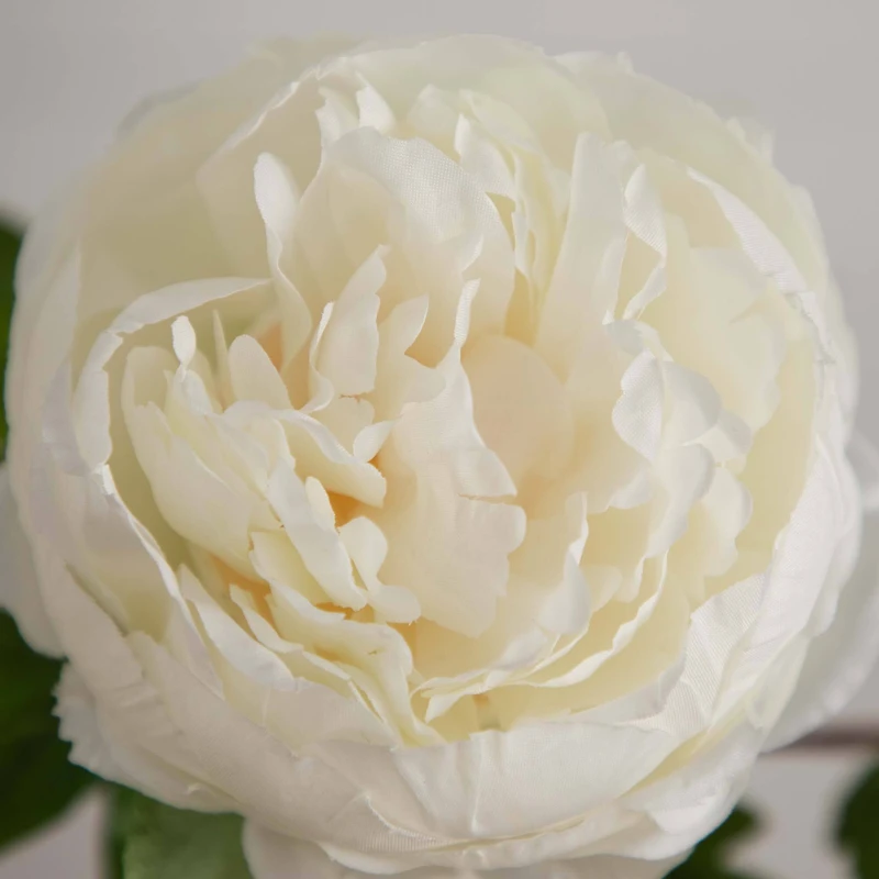 20" White Peony Flower Stems, 3ct.