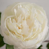 20" White Peony Flower Stems, 3ct.