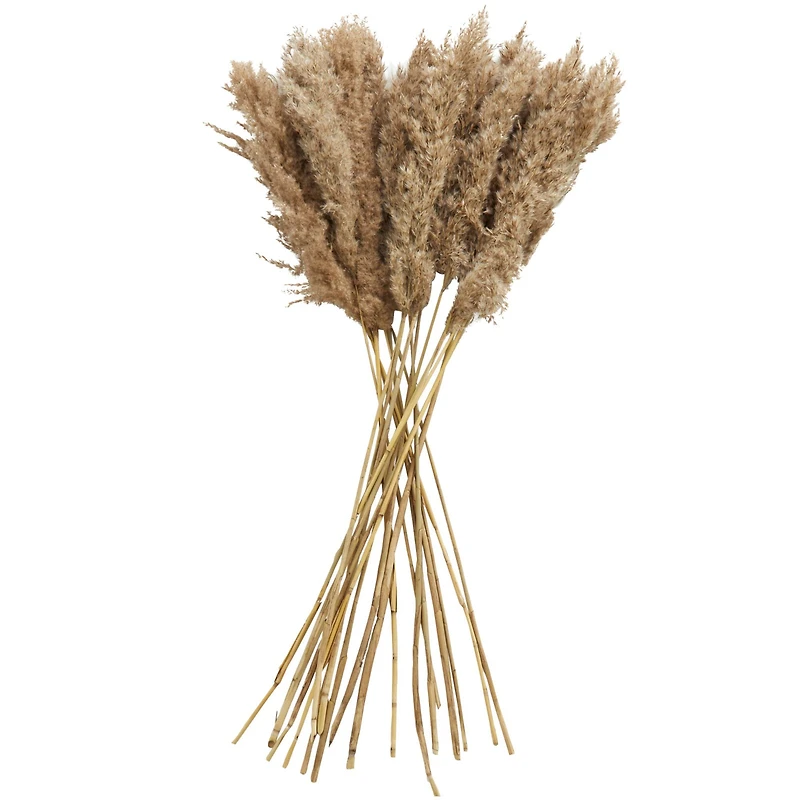 Dried Plant Pampas Natural Foliage with Long Stems