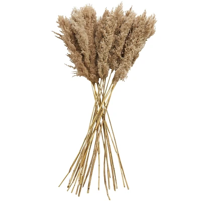 Dried Plant Pampas Natural Foliage with Long Stems