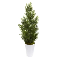 2.5ft. Mini Cedar Pine Tree in Decorative Planter