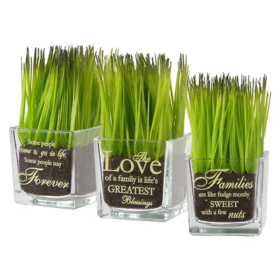 3-Piece Square Sprout-Filled Glass Assortment