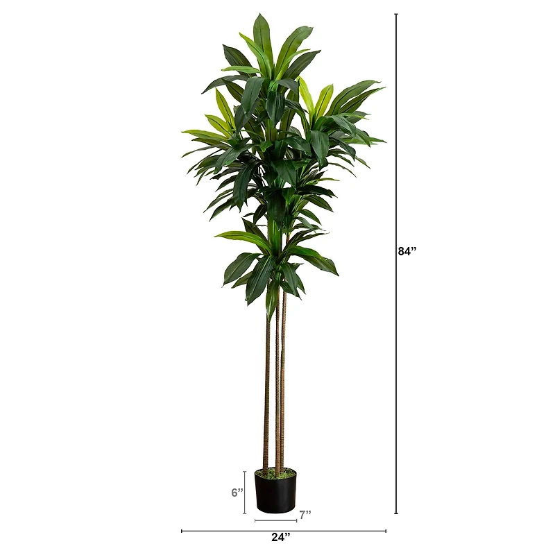 7ft. Potted Green Artificial Dracaena Tree with Real Touch Leaves