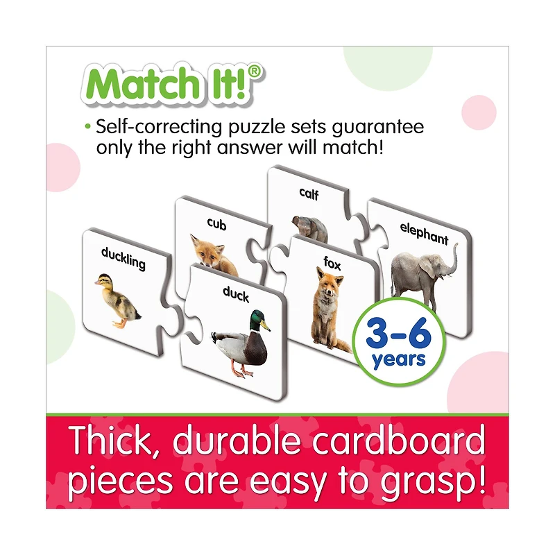 Match It! - Animal Families
