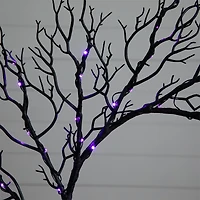 23" Pre-Lit Halloween Black Wreath