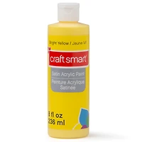 8oz. Satin Acrylic Paint by Craft Smart