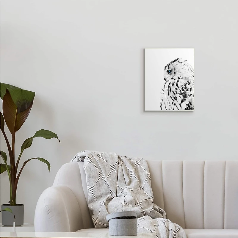 Stupell Industries Snow Owl White Feathers Peering Blue Eyes Wall Plaque