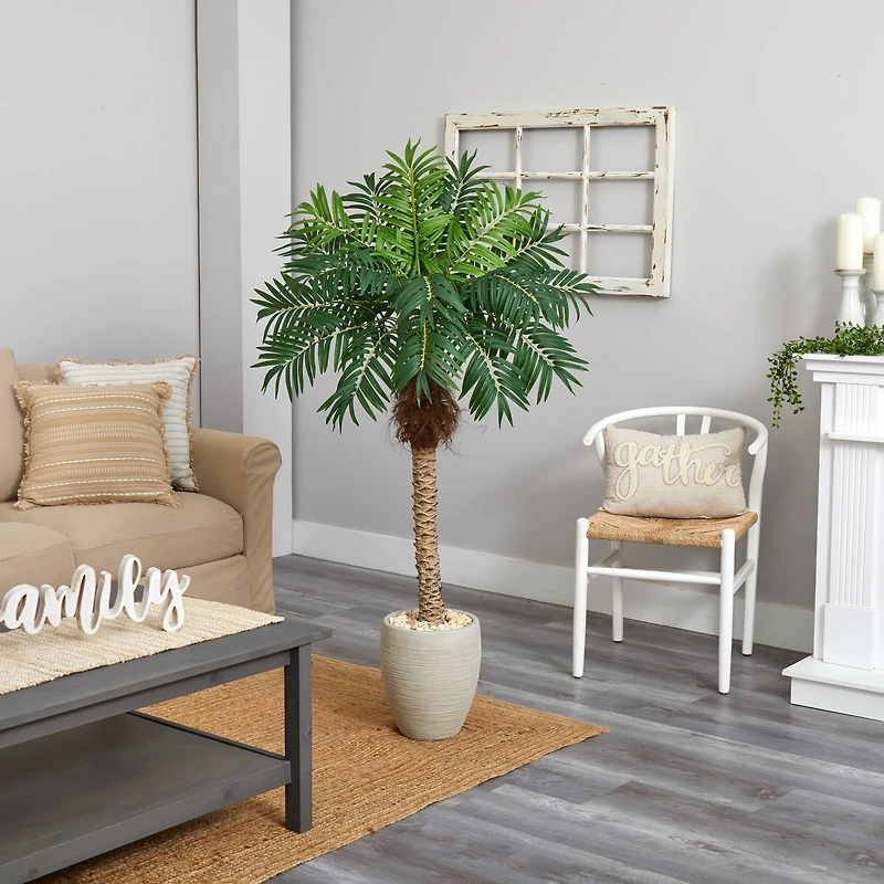 5.5ft. Robellini Palm Tree in Sandstone Planter