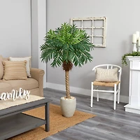 5.5ft. Robellini Palm Tree in Sandstone Planter