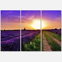 Designart - Lavender Field At Dawn II