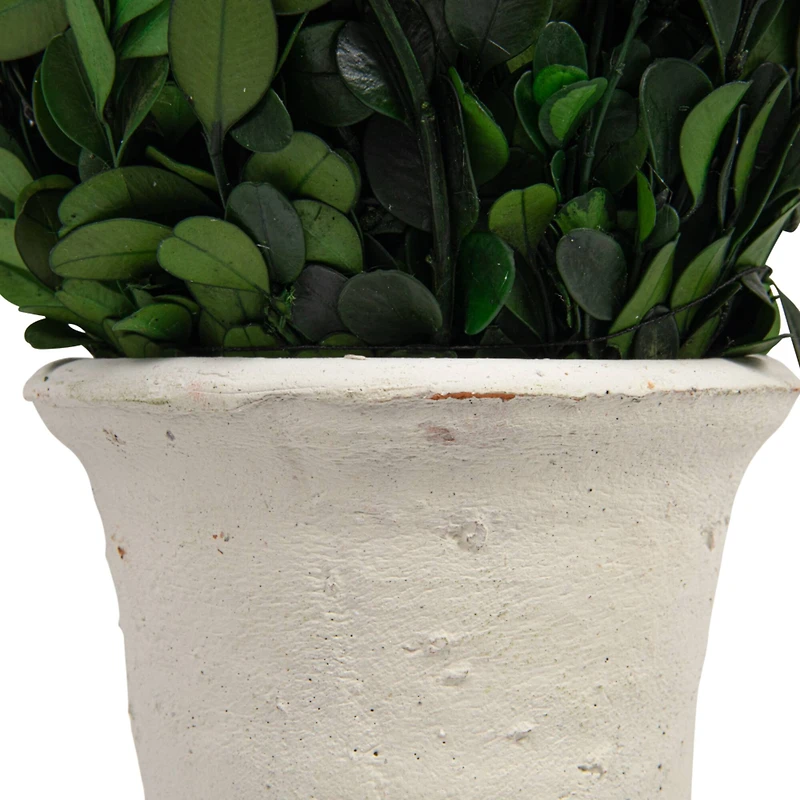 Hello Honey® 17'' Boxwood Cone Topiary in White Clay Pot