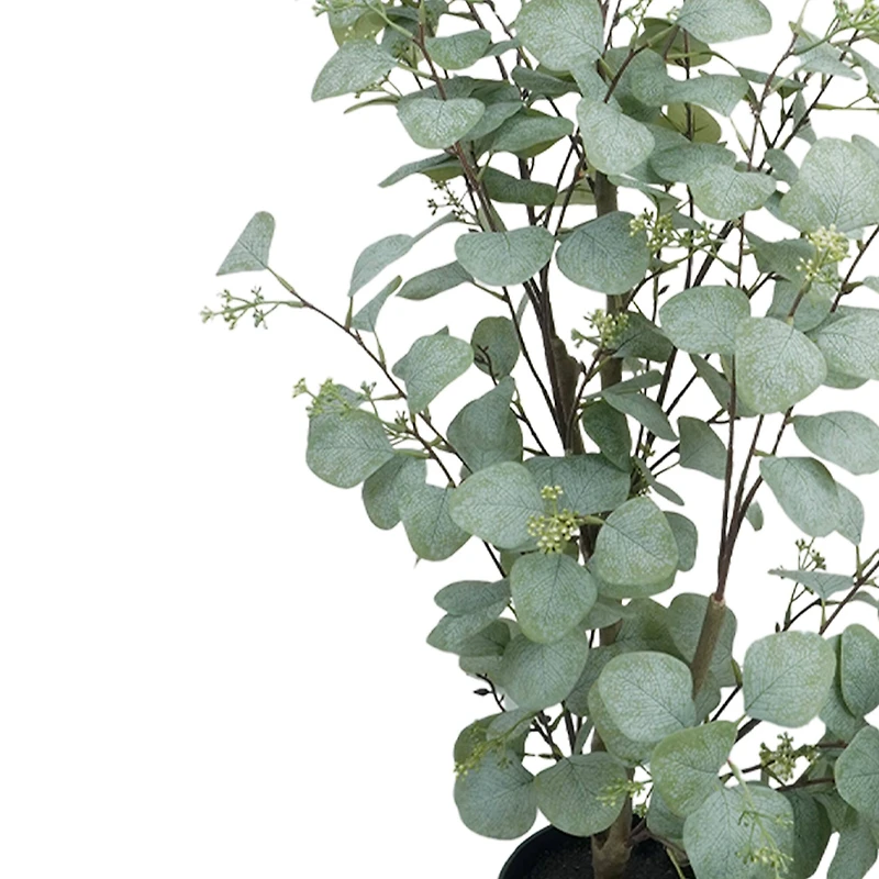 4ft. Potted Seeded Eucalyptus Tree by Ashland®