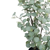 4ft. Potted Seeded Eucalyptus Tree by Ashland®