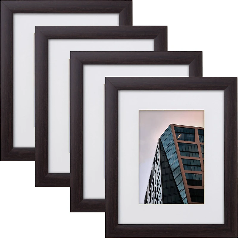 Craig Frames 4 Pack: Contemporary Brazilian Walnut Picture Frame with Mat