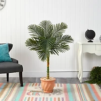 4.5ft. Golden Cane Palm Tree in Terra-Cotta Planter