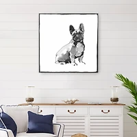 French Bull Dog Canvas Giclee