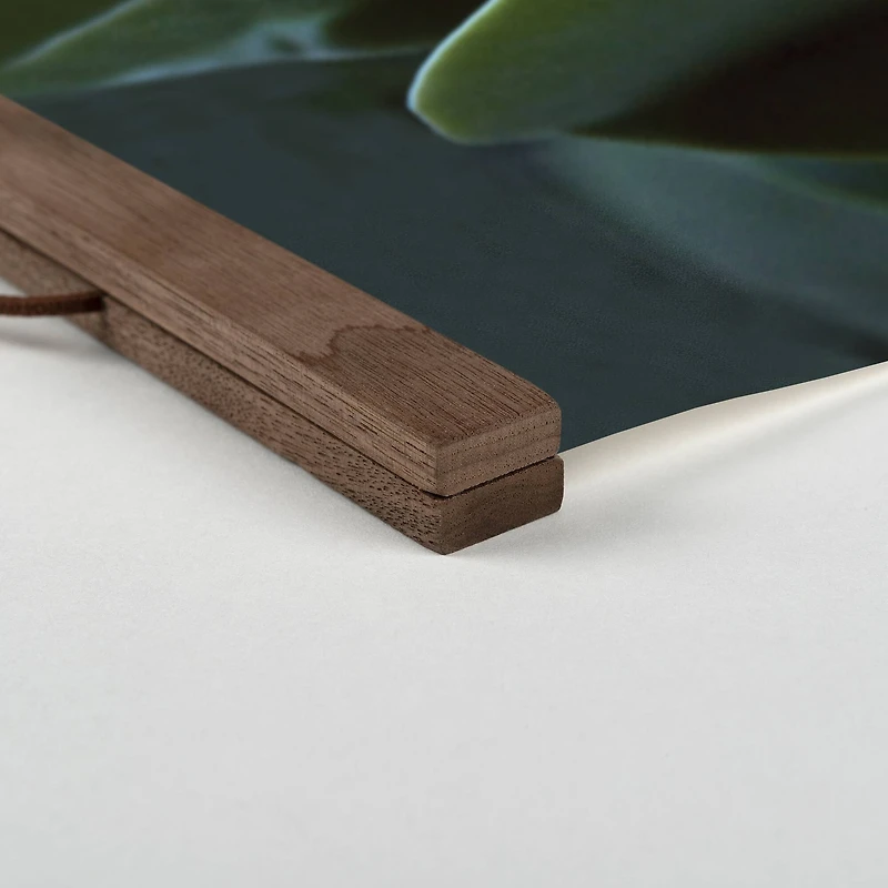 Close Up Leaf Stalk Teak Hanging Canvas