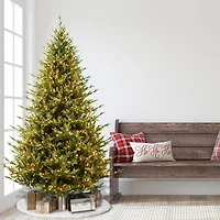7.5ft. Pre-Lit Addison Fir Artificial Christmas Tree, Clear Lights