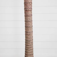 8ft. Potted Coconut Palm Tree