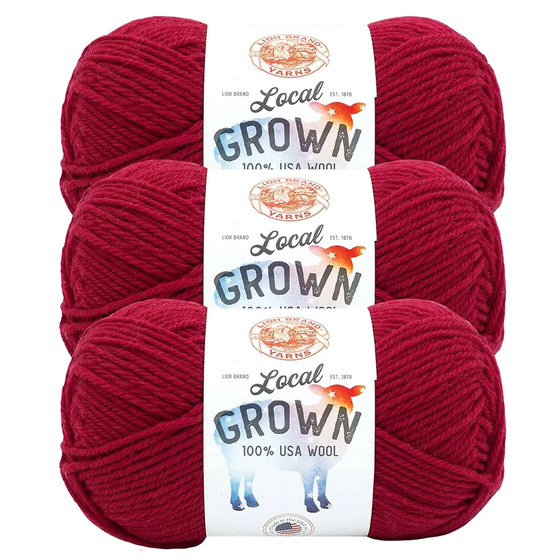 3 Pack Lion Brand® Local Grown Yarn