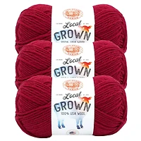 3 Pack Lion Brand® Local Grown Yarn
