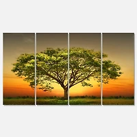 Designart - Green Tree against Setting Sun