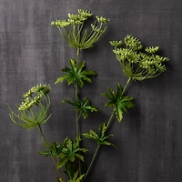 12 Pack: Light Green Queen Anne's Lace Spray by Ashland®
