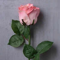 Faux Rose by Ashland