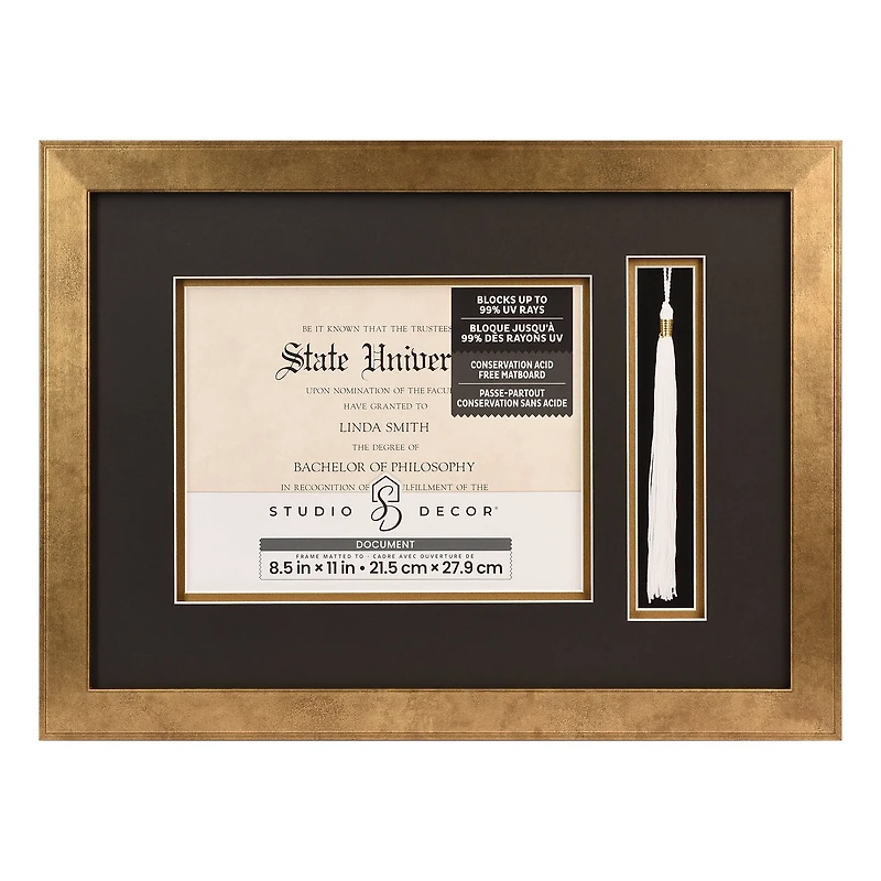 2 Opening Gold 8.5" x 11" Document & Tassel Frame with Double Mat by Studio Décor®