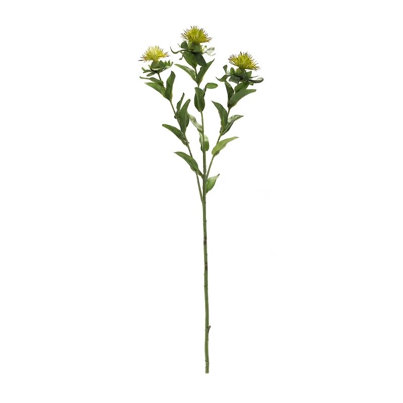 Green Thistle Spray, 6ct.