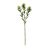 Green Thistle Spray, 6ct.