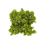 5" Faux Moss Mat by Ashland®