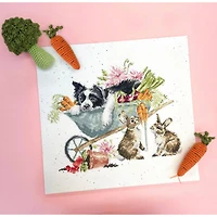 Bothy threads sleeping on the job counted cross stitch Kit