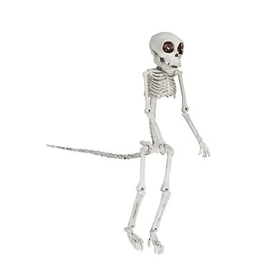 Hello Honey® 23.5" Natural Plastic Monkey Skeleton Décor