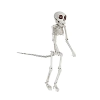 Hello Honey® 23.5" Natural Plastic Monkey Skeleton Décor